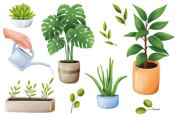 Τα πράσινα φυτά είναι έτοιμα. Δέσμη αντικειμένων - γλάστρες, φύλλα, ποτιστήρι χειρός. Κηπουρική, πράσινο στο σπίτι, φύτευση. 3D εικονογράφηση με μεμονωμένα στοιχεία σε ρεαλιστικό σχεδιασμό - Φωτογραφία, εικόνα