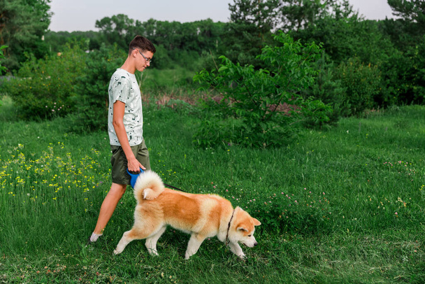 A young man walks in a summer park with a young puppy of a dog Akita. The concept of friendship between a man and a dog. - Photo, image