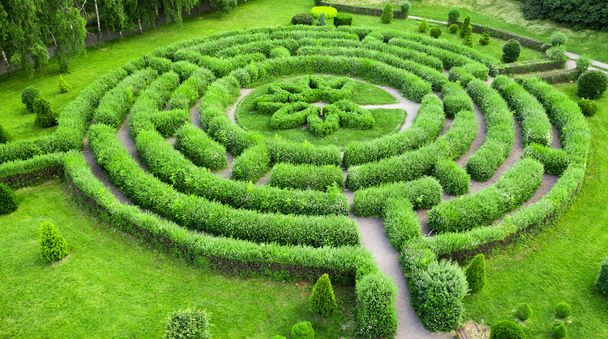 Topiary garden in de vorm van een labyrint, in de botanische tuin Grishka in Kiev. - Foto, afbeelding