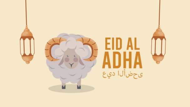 Free Stock Videos of Eid, Stock Footage in 4K and Full HD