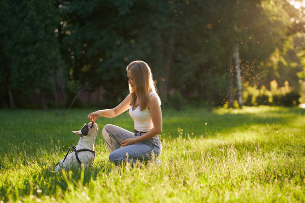 Young smiling woman training french bulldog in park. - 写真・画像