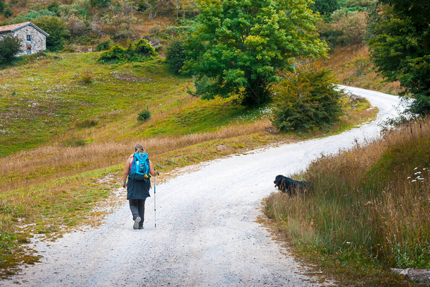 Donna che cammina accanto a un cane mastino nero, lungo un sentiero di un percorso in Cantabria, Spagna.La fotografia viene scattata sulla strada che lascia Espinama e arriva a Fuente De. - Foto, immagini