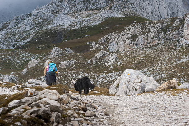 Mujer caminando junto a un perro mastín negro en las montañas de Cantabria, España.La fotografía se toma en la carretera que sale de Espinama y llega a Fuente De. - Foto, Imagen
