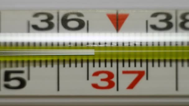 El termómetro de mercurio muestra un aumento de la temperatura corporal. - Imágenes, Vídeo