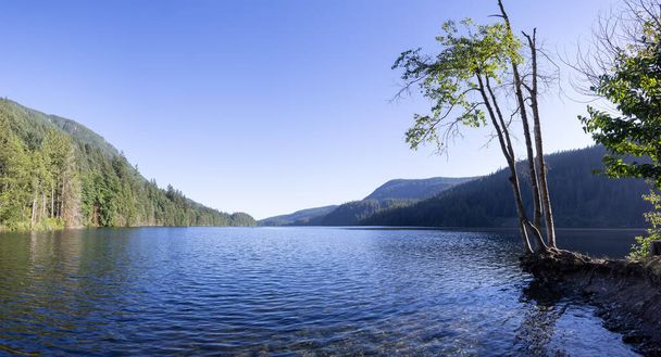 Buntzen Lake surrounded by Canadian Mountain Landscape - Фото, изображение