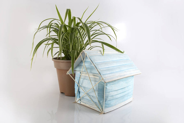 A paper craft house covered with surgical mask in front of spider plant on a office desk, which illustrates the concept of corona virus and pandemic epidemic quarantine isolation to stay at home. - Photo, Image