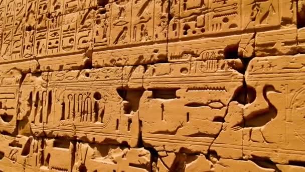 Various hieroglyphs, signs and symbols depicted inside the Karnak Temple in Luxor, Egypt.  - Filmati, video