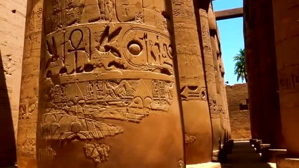 Divers hiéroglyphes, signes et symboles représentés sur les piliers à l'intérieur du temple Karnak à Louxor, en Égypte. - Séquence, vidéo