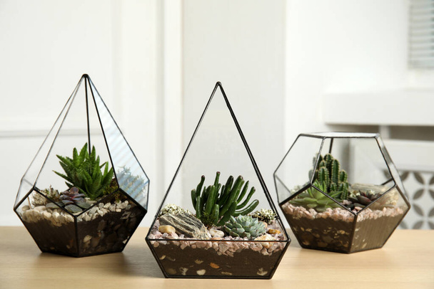 Glass florarium vases with succulents on wooden table indoors - Foto, Bild