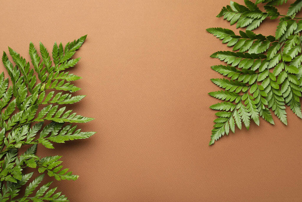 Beautiful tropical fern leaves on brown background, flat lay. Space for text - Fotoğraf, Görsel