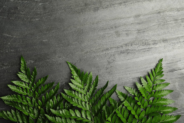 Beautiful tropical fern leaves on grey stone background, flat lay. Space for text - Photo, image