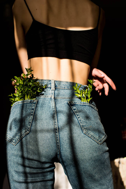 Plantas verdes no bolso jean - Foto, Imagem