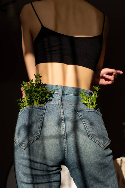 Vihreät kasvit farkkutaskussa - Valokuva, kuva