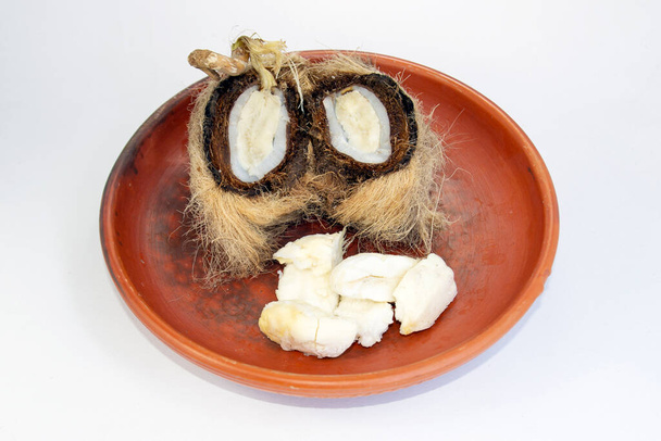 Csírák ehető része, csírázott magja palmyra pálma vagy tala gyümölcs agyagedényen. csíráztatott indiai pálma (Borassus flabellifer) mag Cotyledons (édes szivacsos tömeg, amely oldódik, elnyeli az endospermiumot). - Fotó, kép