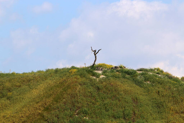 Пейзаж в горах на севере Израиля. Вид Голанских высот в Израиле.  - Фото, изображение