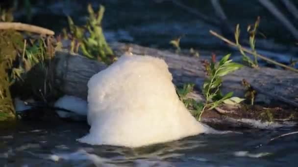 La espuma baila hermosamente en el agua - Metraje, vídeo
