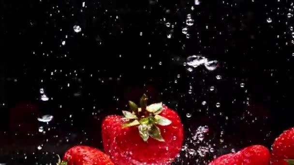 Erdbeeren fallen in Slomwasser auf schwarzem Hintergrund - Filmmaterial, Video