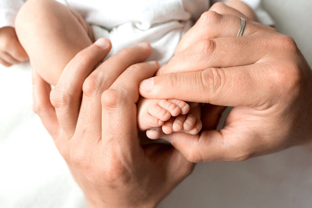 hands of parents. the legs of the newborn in the hands of mom and dad. babys legs in his hands.  - Фото, изображение