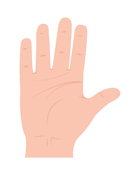 open hand icon - Vector, Image