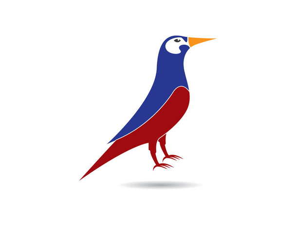 Hummingbird logo şablonu vektör resimleme tasarımı - Vektör, Görsel