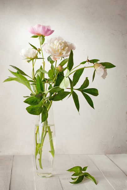 Bouquet of  pale peonies in  vase - Foto, Imagen