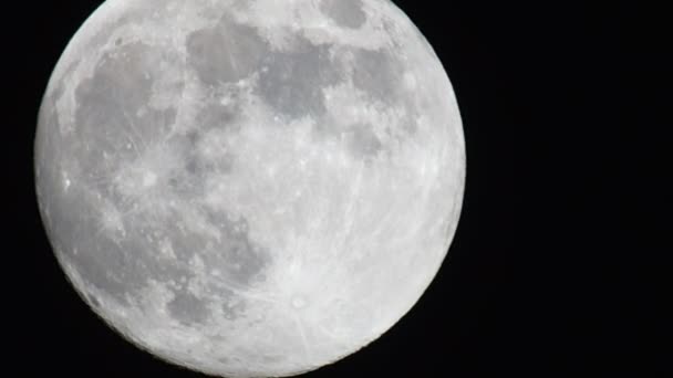 pełnia księżyca w październiku - Materiał filmowy, wideo