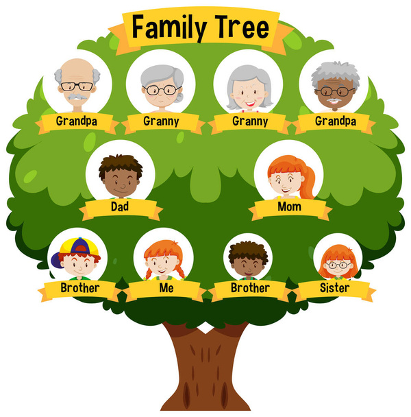 Diagramme montrant l'illustration de l'arbre généalogique de trois générations - Vecteur, image