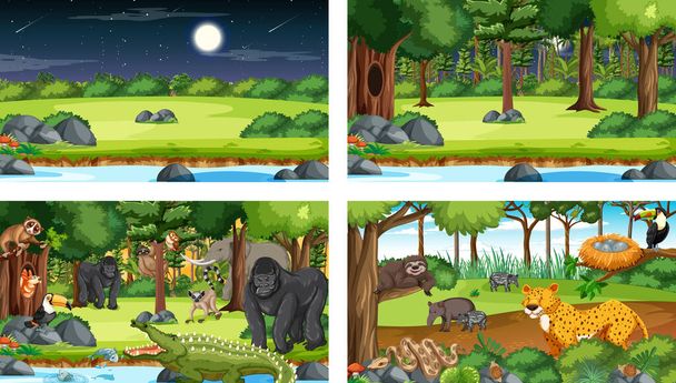 Diverse scene naturalistiche di foresta e foresta pluviale con animali selvatici illustrazione - Vettoriali, immagini