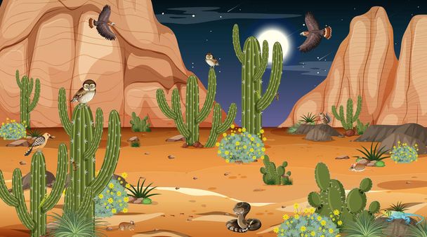 Пустельний ліс на нічній сцені з пустельними тваринами й рослинами. - Вектор, зображення