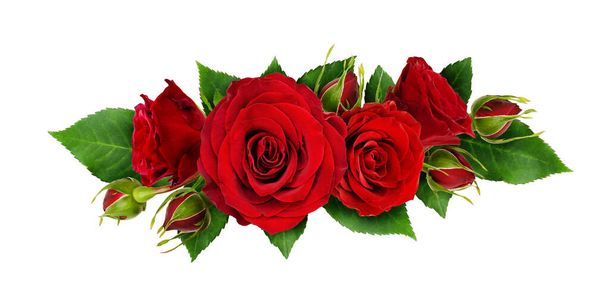 Red rose flowers and leaves in a line arrangement isolated on white background. Flat lay. Top view. - Φωτογραφία, εικόνα