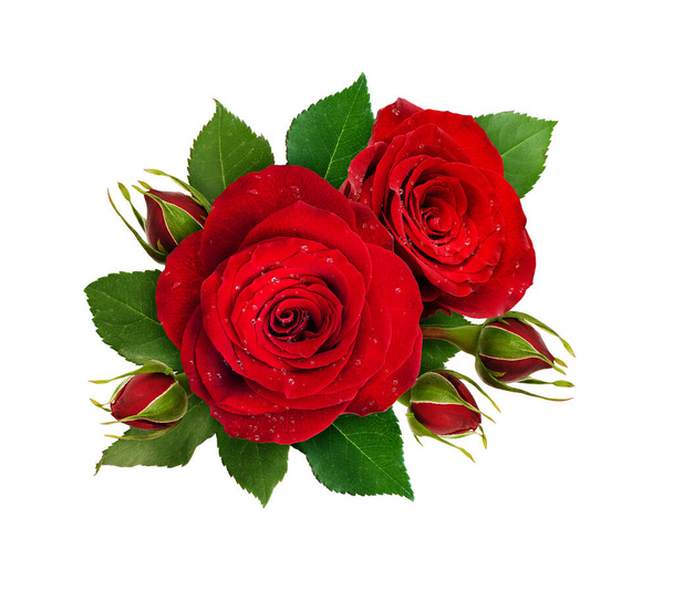 Floral composition with red rose flowers and buds isolated on white background. Flat lay. Top view. - Valokuva, kuva