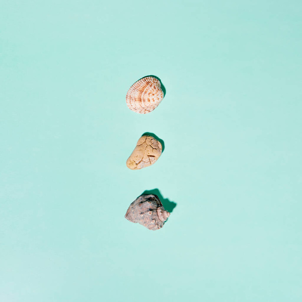 Summer concept with seashells and stones on blue background. Top view, flat lay. - Fotografie, Obrázek