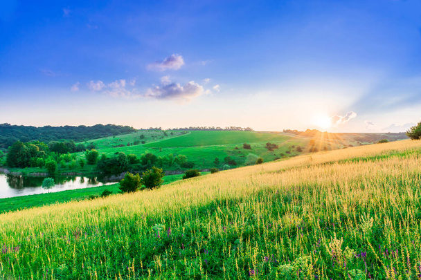 Beautiful summer landscape, beautiful view of the lake, surrounded by meadows and green forest. Blue sky over plain, nature, background - Photo, Image