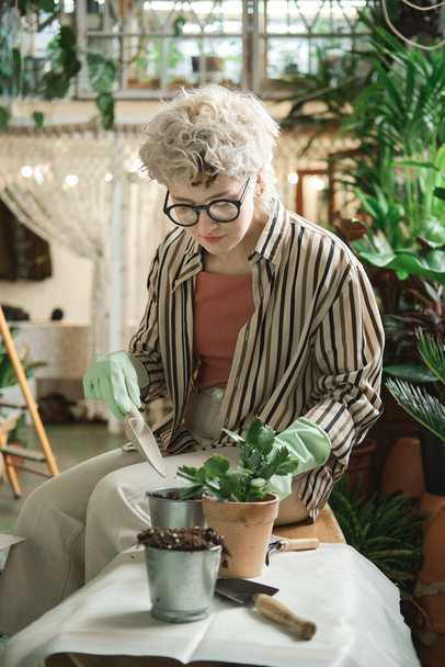 Mujer plantando plantas en macetas - Foto, imagen