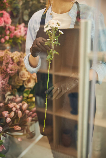 Kukkakauppias kanssa koriste kasvi käsissään seisoo sisätiloissa - Valokuva, kuva