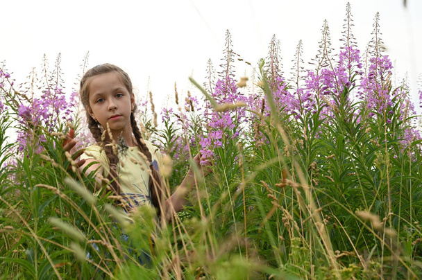 beautiful teenage girl among the pink flowers of Ivan-tea or a blooming Sally. Medicinal plant willow-grass grows in the meadow. Wildflowers - Photo, image