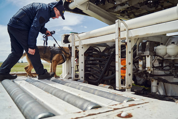 Bezpečnostní důstojník a detekční pes kontrolující letadlo na letišti - Fotografie, Obrázek