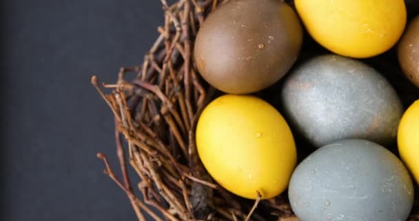 Los brillantes huevos de Pascua en las aves anidan girando en el sentido de las agujas del reloj. Huevos multicolores sobre fondo gris. Vista superior. - Metraje, vídeo