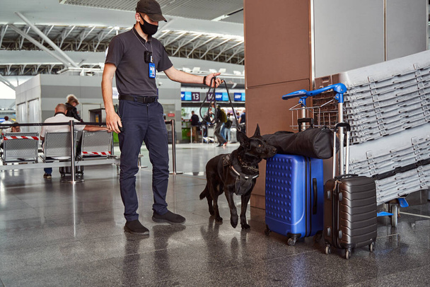 Φύλακας ασφαλείας και σκύλος ανίχνευσης που ελέγχει τις αποσκευές στο αεροδρόμιο - Φωτογραφία, εικόνα
