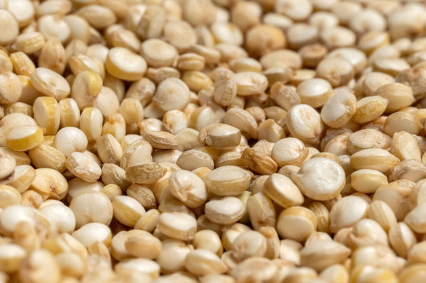 fehér quinoa mag közelkép makró szelektív fókusz. háttér textúra - Fotó, kép