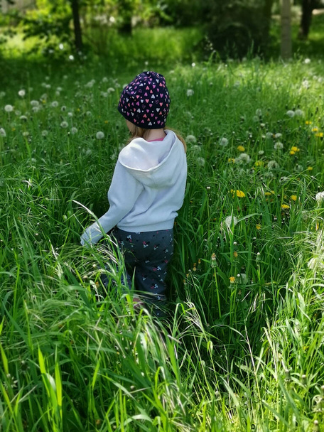 A vertical shot of a child walking in a wildflower meadow - Foto, imagen
