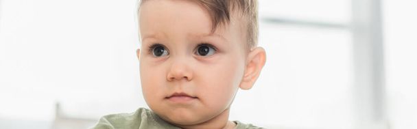 Toddler boy looking away at home, banner  - 写真・画像