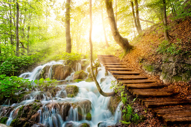 ruisseau de forêt profonde avec de l'eau cristalline au soleil. Lacs de Plitvice, Croatie
 - Photo, image
