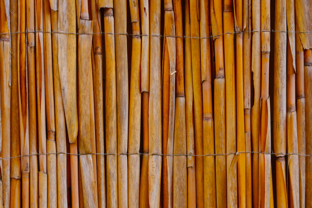 Großaufnahme auf einem Bambuszaun im Park. Hintergrund, Textur - Foto, Bild