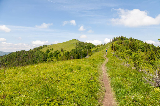 Удивительный горный ландшафт: голубое небо с облаками, зеленые деревья и туристическая дорога - Фото, изображение