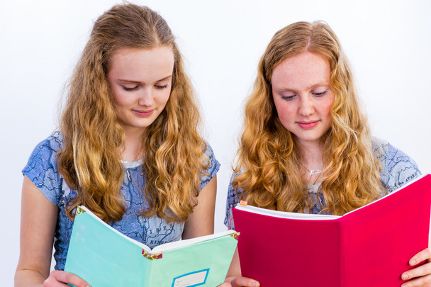 Дві школярки читають книги
 - Фото, зображення