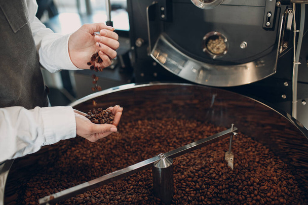 Chłodzenie kawy w maszynie do pieczenia kawy w procesie pieczenia kawy. Młoda kobieta pracownik barista Mieszanie ziaren kawy. - Zdjęcie, obraz