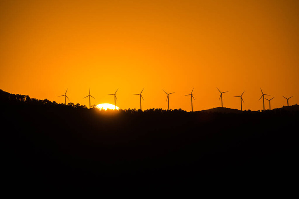 Impianto eolico energie rinnovabili eolico economia sostenibile - Foto, immagini