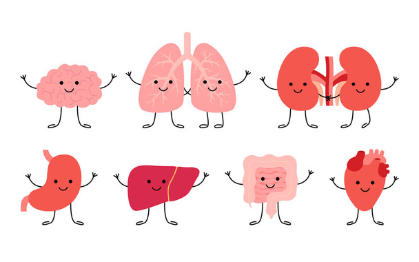 Zestaw cute uśmiechnięty szczęśliwy człowiek zdrowe silne postacie narządów. Mózg, płuca, nerki, żołądek, wątroba, jelita i organy serca. Ilustracja kreskówki wektor - Wektor, obraz