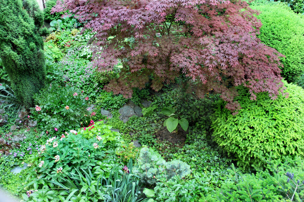 Mooi huis tuin met vijver - Foto, afbeelding